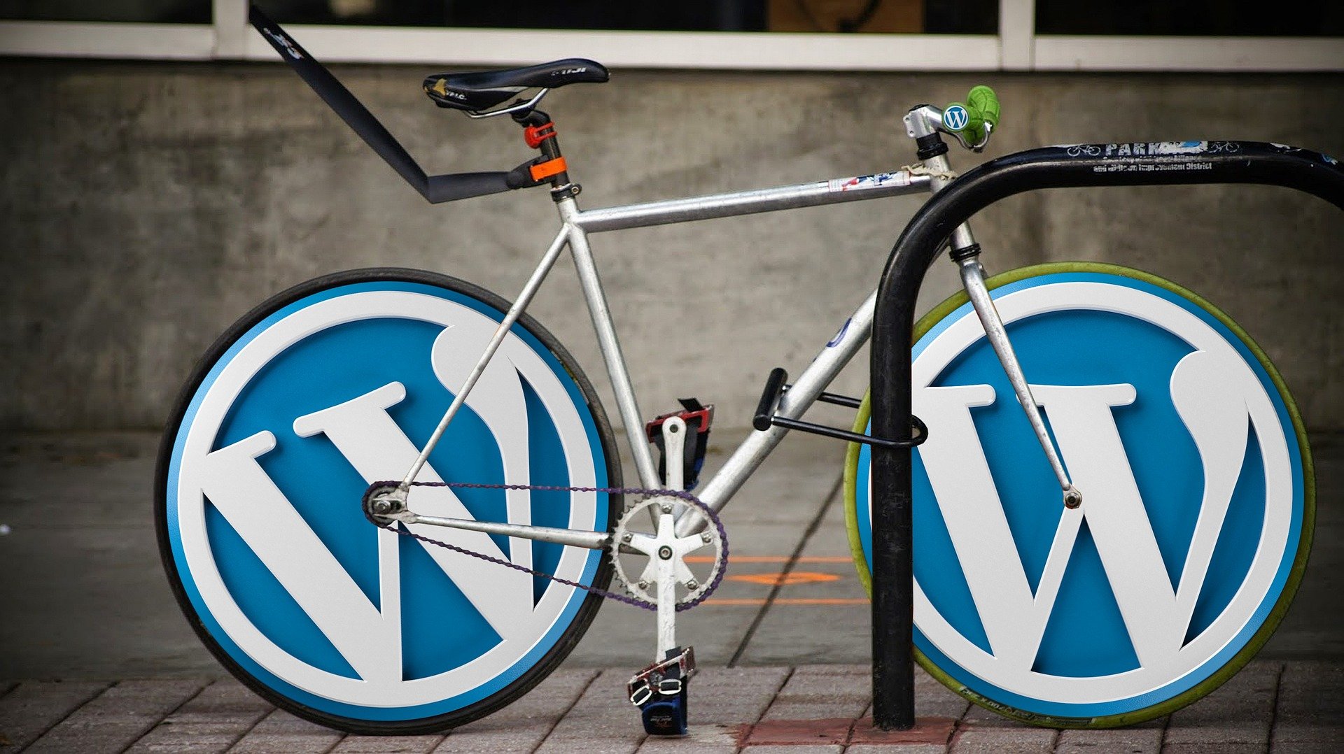 Learn how to install WordPress from scratch